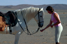 Morocco-Morocco-Splendor of Marakesh